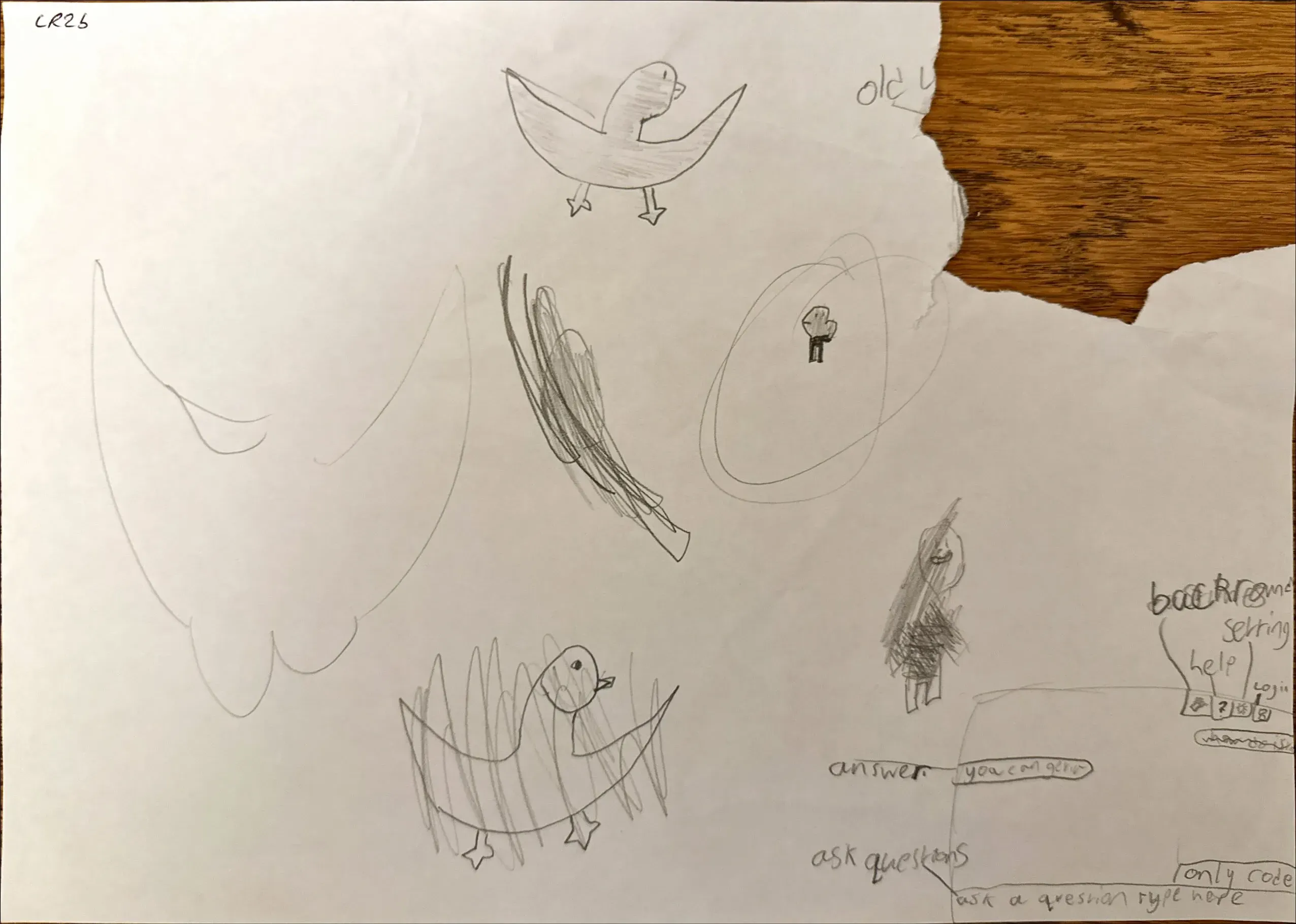 Chatbot that answers questions about 'anything code- or script-wise'